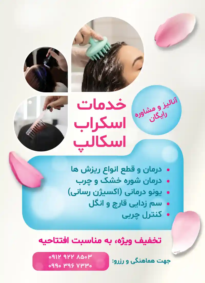 نمونه کار 6