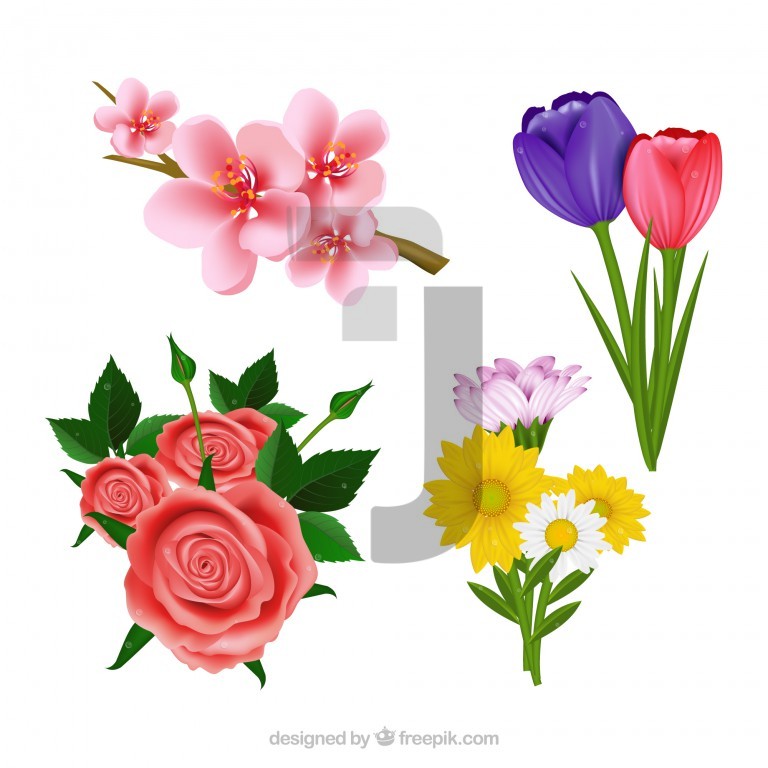 وکتور گل های مختلف رنگی