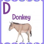 وکتور فلش کارت آموزشی حروف D در زبان انگلیسی وکتور فلش کارت آموزشی حروف D در زبان انگلیسی
