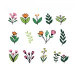 وکتور مجموعه تصویر برداری گل های از شاخه بریده شده