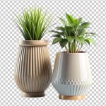 فایل لایه باز دو گلدان سرامیکی با گیاه سبز