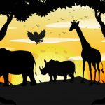 وکتور سیلوئت صحنه سپیده دم در جنگل