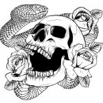 وکتور تصویر اسکلت و مار و گل رز