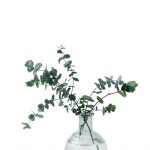 فایل لایه باز گلدان شیشه ای با گیاه