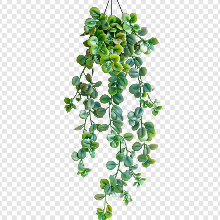 فایل لایه باز گیاه آویزان مصنوعی سبز