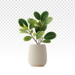 فایل لایه باز گلدان سرامیکی مدرن با گیاه برگ های سبز