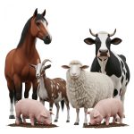 فایل لایه باز حیوانات مختلف
