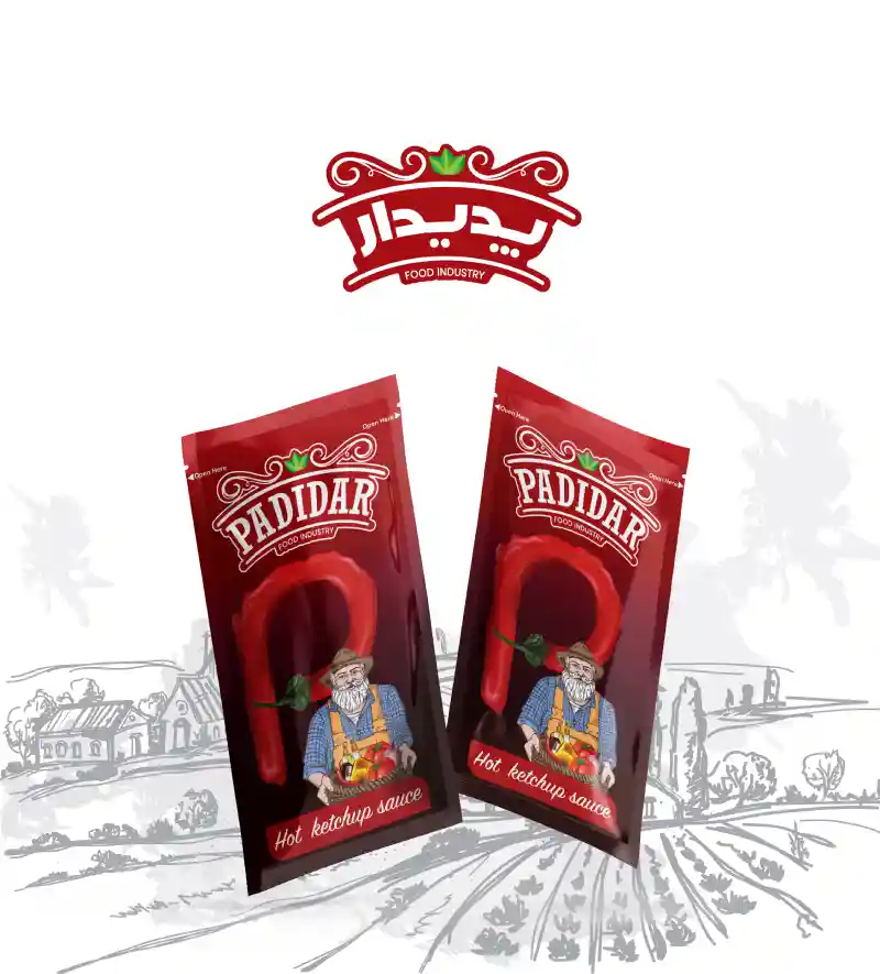 نمونه کار 2
