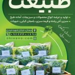 فایل لایه باز طرح تراکت سبزیجات آماده فایل لایه باز طرح تراکت سبزیجات آماده