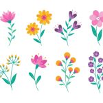 وکتور مجموعه گل های با دست طراحی شده وکتور مجموعه گل های با دست طراحی شده