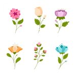 وکتور مجموعه گل های طراحیشده با دست وکتور مجموعه گل های طراحیشده با دست