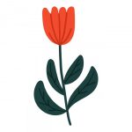 وکتور تصویرسازی گل قرمز وکتور تصویرسازی گل قرمز
