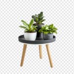 فایل لایه باز گیاهان گلدانی روی میز