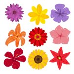 وکتور مجموعه گل های رنگارنگ طراحی شده با دست وکتور مجموعه گل های رنگارنگ طراحی شده با دست