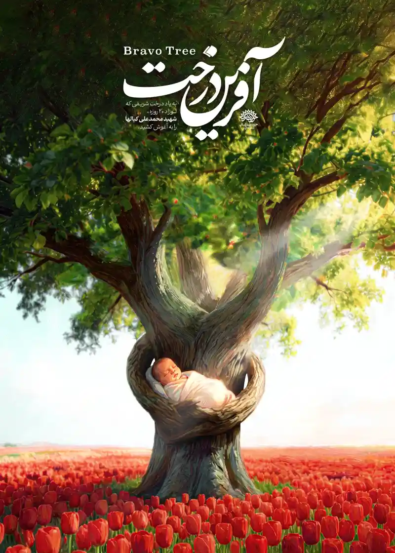 نمونه کار 4