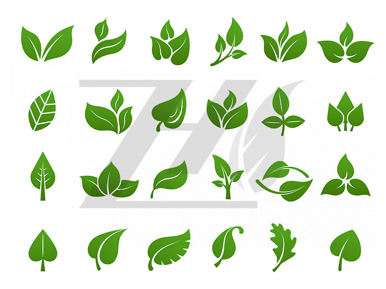 مجموعه آیکون گیاه شناسی تلطیف شده برگ سبز متنوع